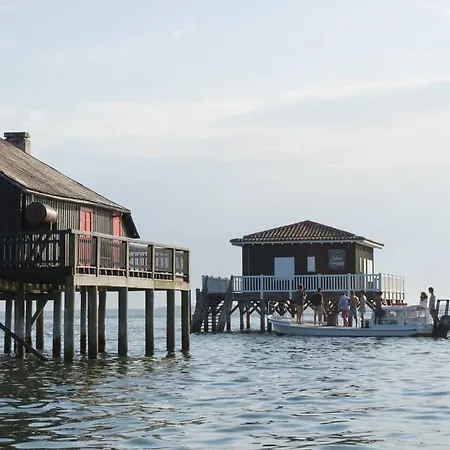 Cozy-house Confort 4 Etoiles 营地 Lège-Cap-Ferret